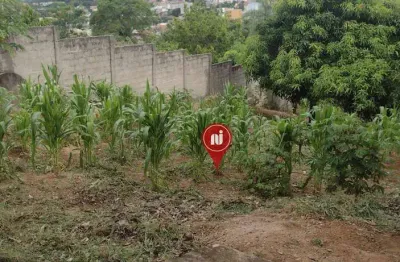 Terreno à venda, 500 m² por r$ 115.000,00 - são geraldo - florestal/mg