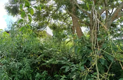 Terreno à venda no Jardim Mosteiro, São Roque 