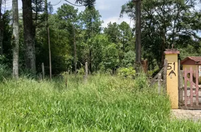 Chácara / sítio com 3 quartos à venda no Taipas De Pedras (Mailasqui), São Roque 