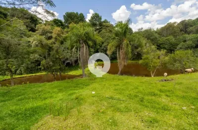 Chácara / sítio com 4 quartos à venda na Br 116 Km 156, 156, Zona Rural, Mandirituba