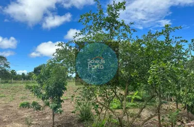 Sítio em ibiruçu: 3hectare, casa com 3 dormitórios - por r$ 600.000,00
