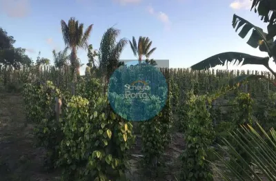 Chácara / sítio com 2 quartos à venda na Zona Rural, Belmonte 