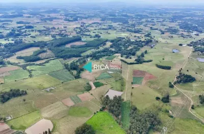 Terreno à venda na amilton da silva amorim, 900, sanga funda, nova santa rita por r$ 7.000.000