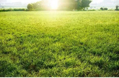 Venda - terreno - jardim alphacenter - santa bárbara d'oeste - sp