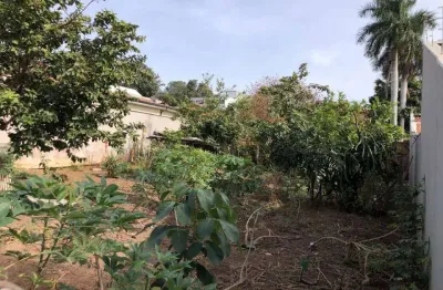 Terreno à venda no Parque Novo Mundo, Americana 