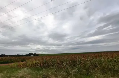 Venda - terreno industrial - recanto das andorinhas - santa bárbara d'oeste - sp