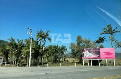 Terreno comercial à venda no Centro, Ilhota 