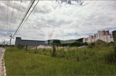 Terreno comercial à venda na Rua João Dalmolin, Carvalho, Itajaí