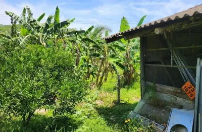 Terreno comercial à venda na Br 101 Km 110, Centro, Penha