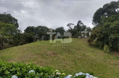 Terreno comercial à venda na Praça Leonardo Sell, 159, Centro, Rancho Queimado