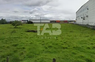 Terreno comercial à venda na Rua Joaquim Geraldino Bittencourt, 210, Santa Regina, Itajaí