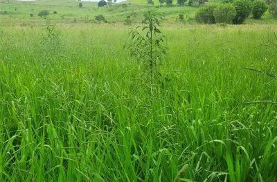 Fazenda / sítios / chácaras com 4 quartos à venda em carmo de minas