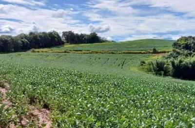 Fazenda / Sítios / Chácaras com 3 quartos à venda em Conceição Do Rio Verde