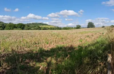 Fazenda / sítios / chácaras à venda em cordislândia