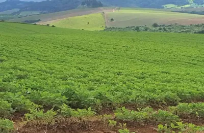 Fazenda / sítios / chácaras com 3 quartos à venda em andrelândia