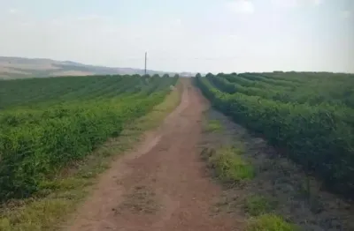 Fazenda / sítios / chácaras com 4 quartos à venda em bom sucesso