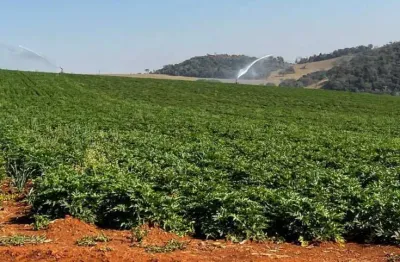 Fazenda / sítios / chácaras com 3 quartos à venda em pouso alegre