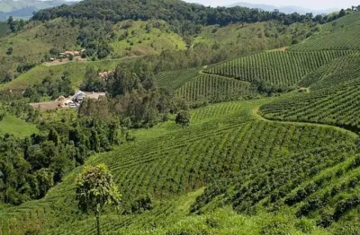 Fazenda / sítios / chácaras com 6 quartos à venda em conceição do rio verde
