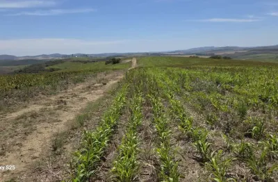 Fazenda à venda na Zona Rural 1, 002, Zona Rural, Andrelândia