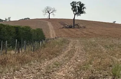 Fazenda / sítios / chácaras com 1 quarto à venda em divisa nova