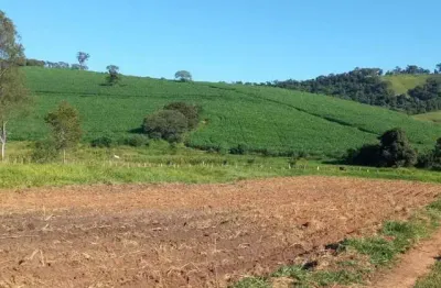 Fazenda / sítios / chácaras com 3 quartos à venda em silvianópolis