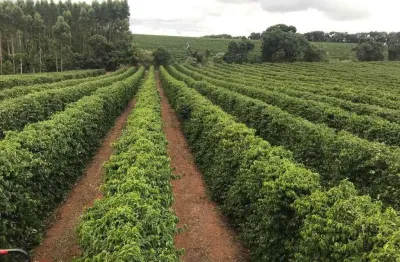 Fazenda à venda na Zona Rural, 150, Zona Rural, Bambuí