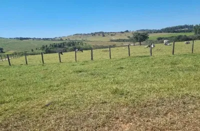 Fazenda à venda na Zona Rural, 786, Zona Rural, Aguanil