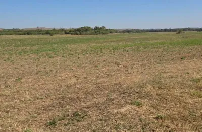 Fazenda à venda na Zona Rural, 02, Zona Rural, Cordislândia