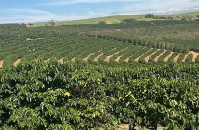 Fazenda à venda na Zona Rural 2, 004, Zona Rural, Divisa Nova