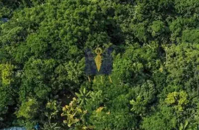 Casa com 4 quartos à venda em Ponta Grossa, Ubatuba 