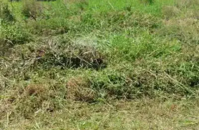 Terreno à venda no Santo Antônio, Concórdia 