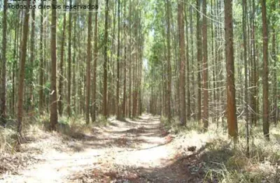 Terreno de 20.000m² no pitangal, jarinu-sp: sua oportunidade de investimento na melhor localização!