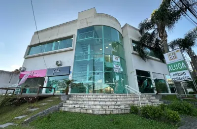 Prédio com 12 salas para alugar na Rua Dom Alberto Gonçalves, 1233, Bom Retiro, Curitiba