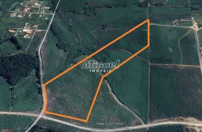 Terreno comercial para alugar na Estrada Heribaldo Zardetto de Toledo, Guamium, Piracicaba