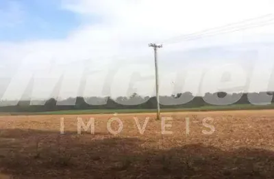 Área, à venda, com 60.500.000,00 m² - pau d'alhinho - piracicaba - sp