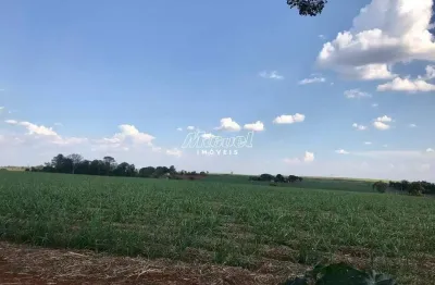 Terreno à venda na Praça Velha Piracicaba Limeira Km, Água Santa, Piracicaba