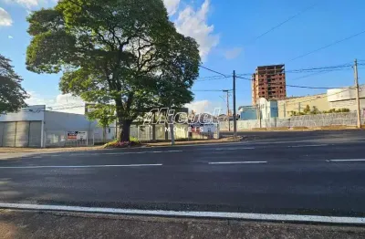 Terreno, à venda, área 357,00 m² - cidade alta - piracicaba - sp