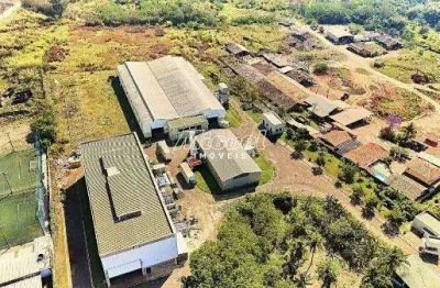 Galpão industrial, área total 17.500,00m² para aluguel, pau queimado - piracicaba