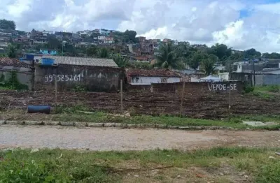 Terreno à venda na Rua José Gomes da Silva, S/N, Jardim Primavera, Camaragibe