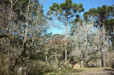Terreno à venda, 9565 m² por r$ 4.000.000,00 - jardim belvedere - campos do jordão/sp