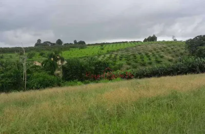 Oportunidade- área à venda, 3 alqueires  por r$ 1.300.000 - ouro fino - santa isabel/são paulo