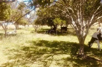 Terreno à venda na Rodovia BR-158, 200, Santa Helena, Cruz Alta