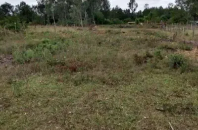 Terreno à venda na Avenida Dos Pinheiros, 972, Parque Eldorado, Eldorado do Sul