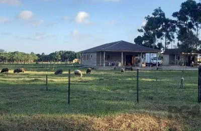 Chácara / sítio com 3 quartos à venda na Estrada  Jose Oliveira Ouriques, 1002, Caravagio, Osório