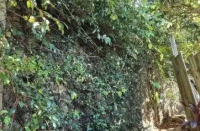 Terreno com 482 m² para venda no bairro santa tereza/menino deus em porto alegre
