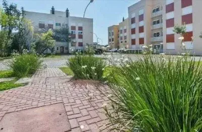 Apartamento no bairro aberta dos morros - 2 dormitórios