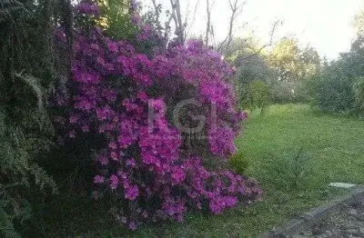 Casa com 1 quarto à venda na Travessa Argentina, 21, Aparecida, Alvorada