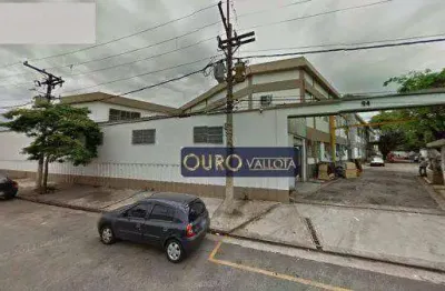 Galpão para alugar, 3200 m² por r$ 98.900,00/mês - água branca - são paulo/sp