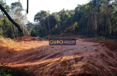 Terreno à venda, 1300 m² por r$ 175.000,00 - ibiúna - ibiúna/sp