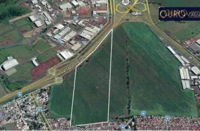 Terreno comercial à venda na Rodovia Alexandre Balbo, Adelino Simioni, Ribeirão Preto